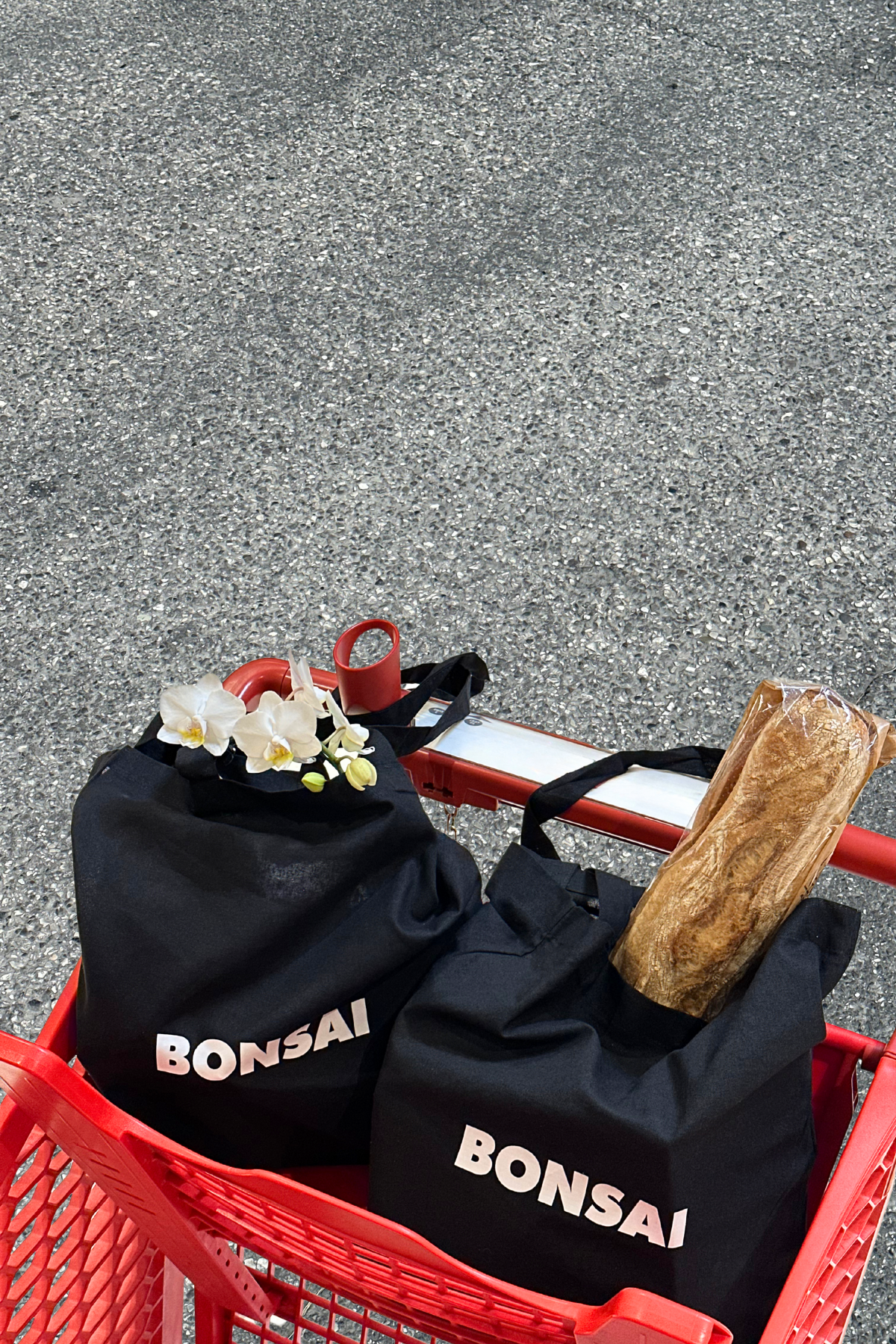 BONSAI TOTE BAG